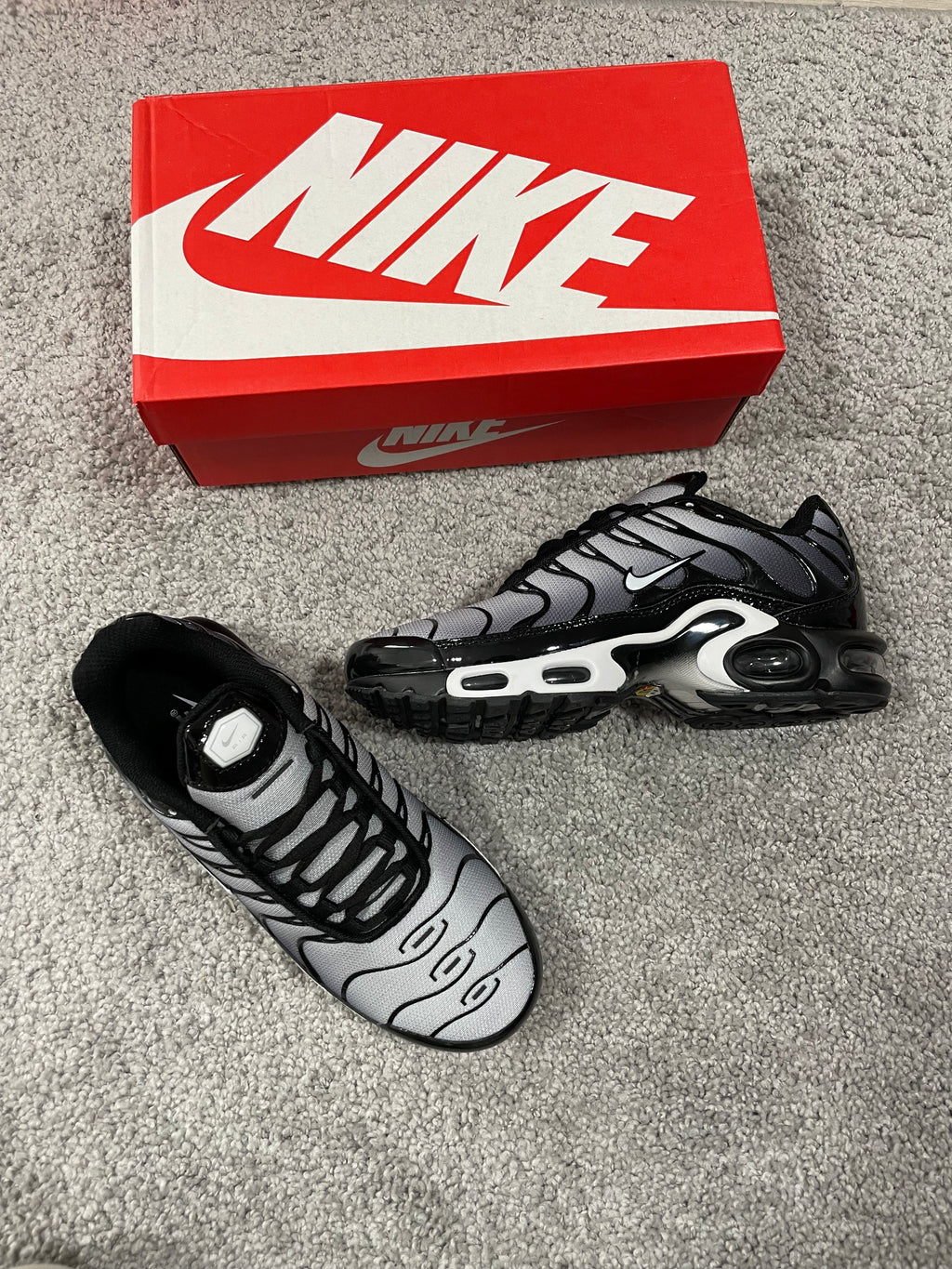 Nike Tn - Zebra