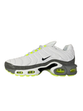 Nike Tn - Blanco y Gris