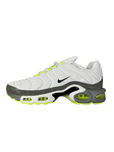 Nike Tn - Blanco y Gris