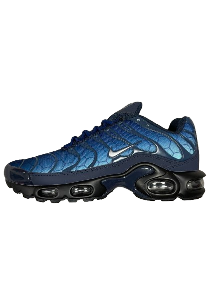 Nike Tn - Azul Marino
