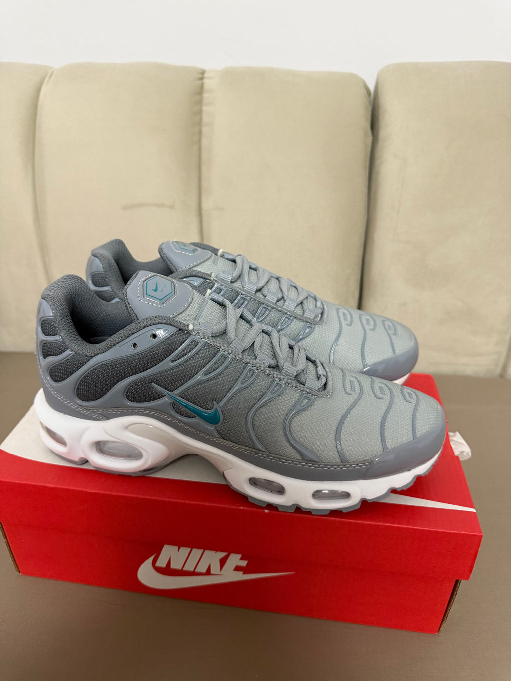 Nike Tn - Gris
