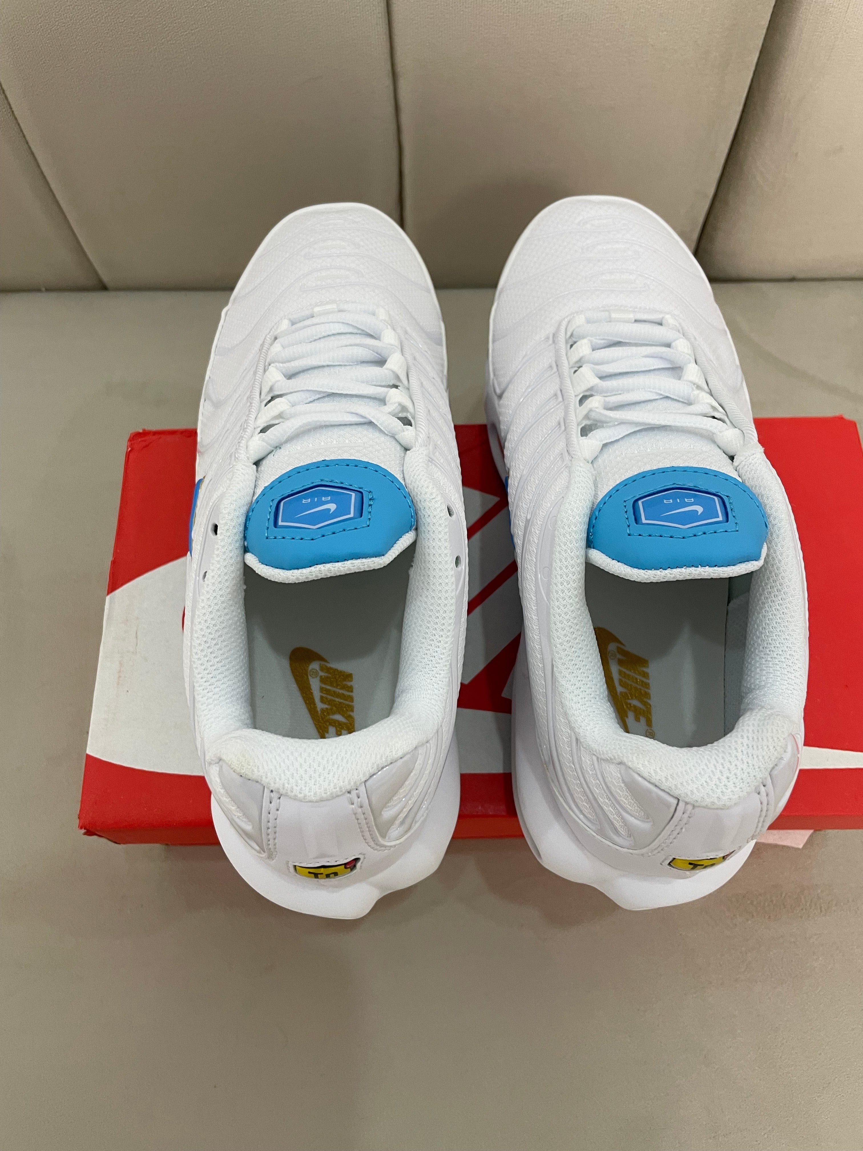 Nike Tn - Blanco y Azul